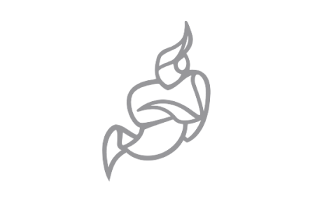 jitsi icon