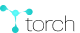 torch logo